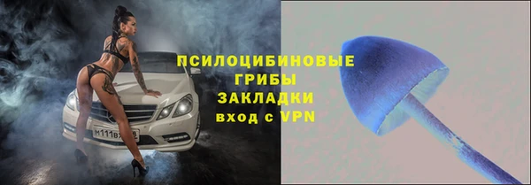 apvp Ростов