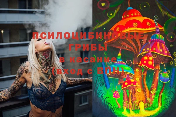 спайс Рославль