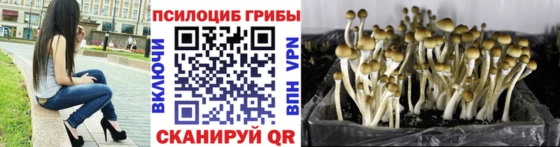 Псилоцибиновые грибы MAGIC MUSHROOMS Барыш