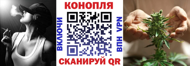 kraken онион  Барыш  Канабис планчик 